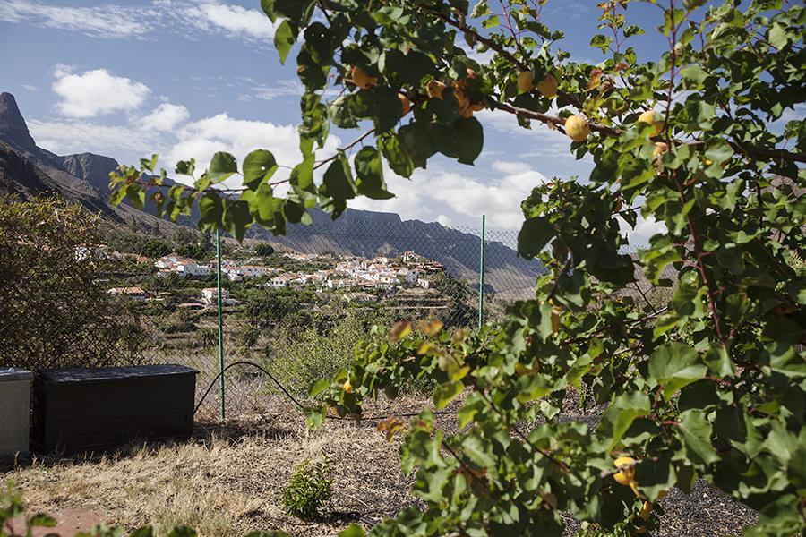 منزل الضيف Fátaga  في Ecotara Canary Islands الغرفة الصورة