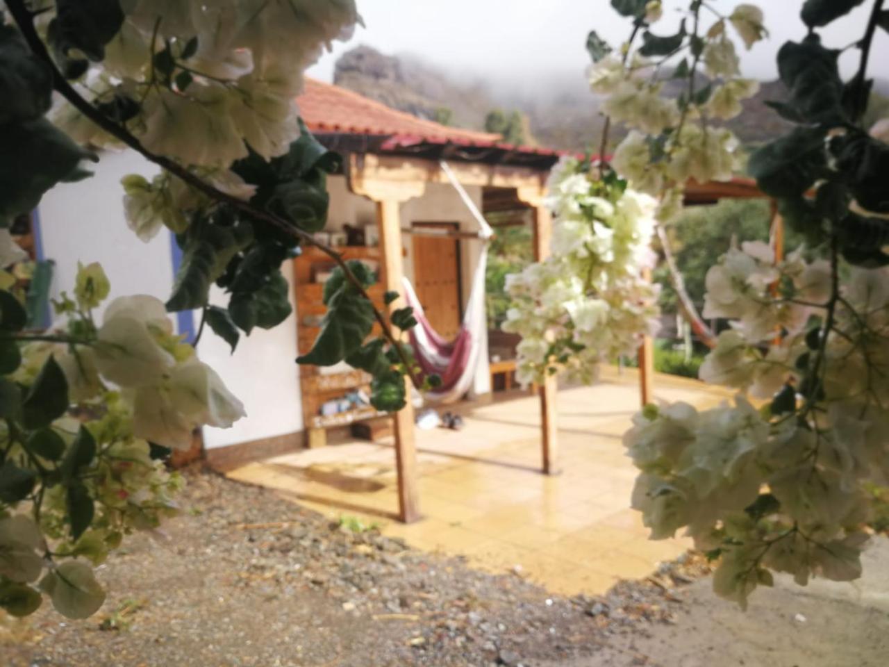 منزل الضيف Fátaga  في Ecotara Canary Islands المظهر الخارجي الصورة